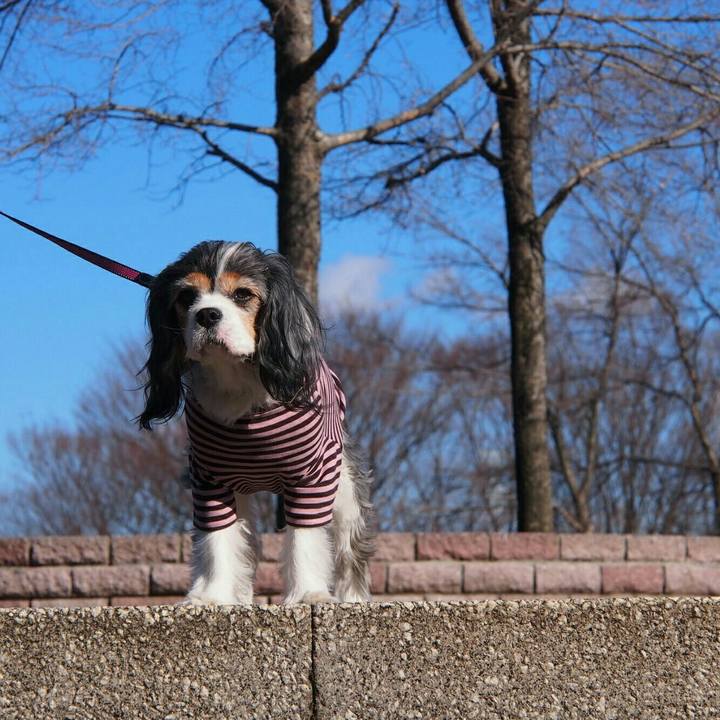 97150f41 127f 4e28 b394 45018484d0ec