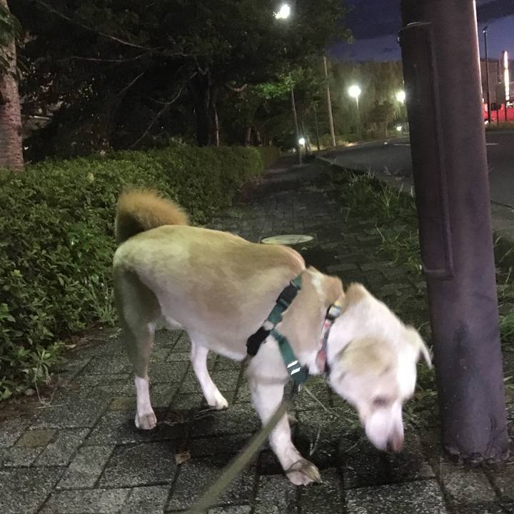 97153a56 4c06 4e8b 8c61 26688acbf1fe