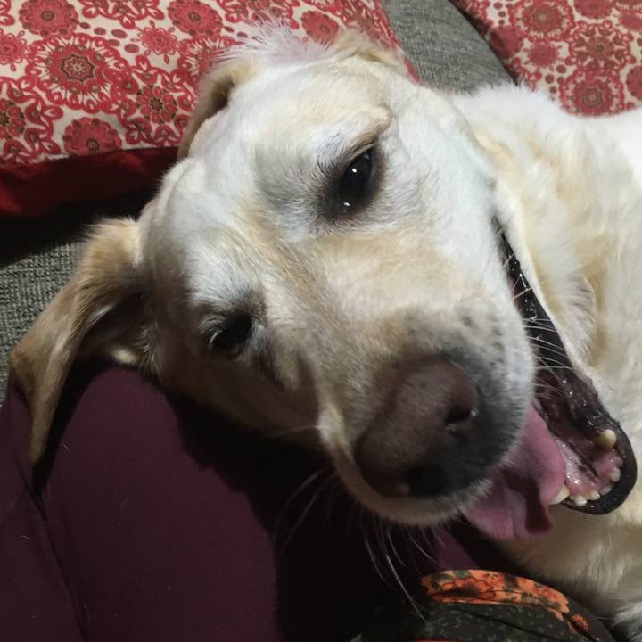 97159e7f 03b2 4e38 8b7e 33475c82ca1c