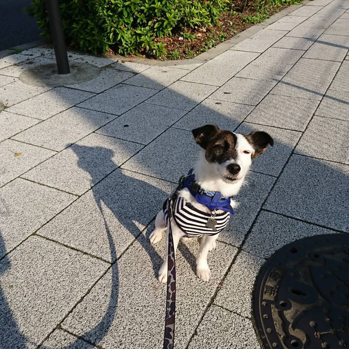 97161bff 887b 4ad2 a2fa a03166e12b20