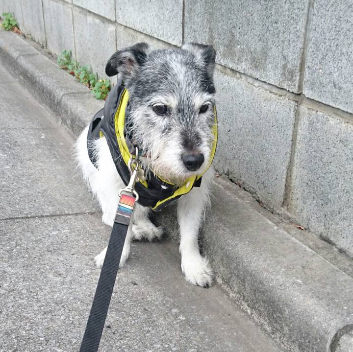 97162f6c acbd 4416 a1a0 871bd4f18bdf