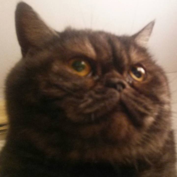 9716a9f4 c1bb 4b33 9574 b1f0844d28a9