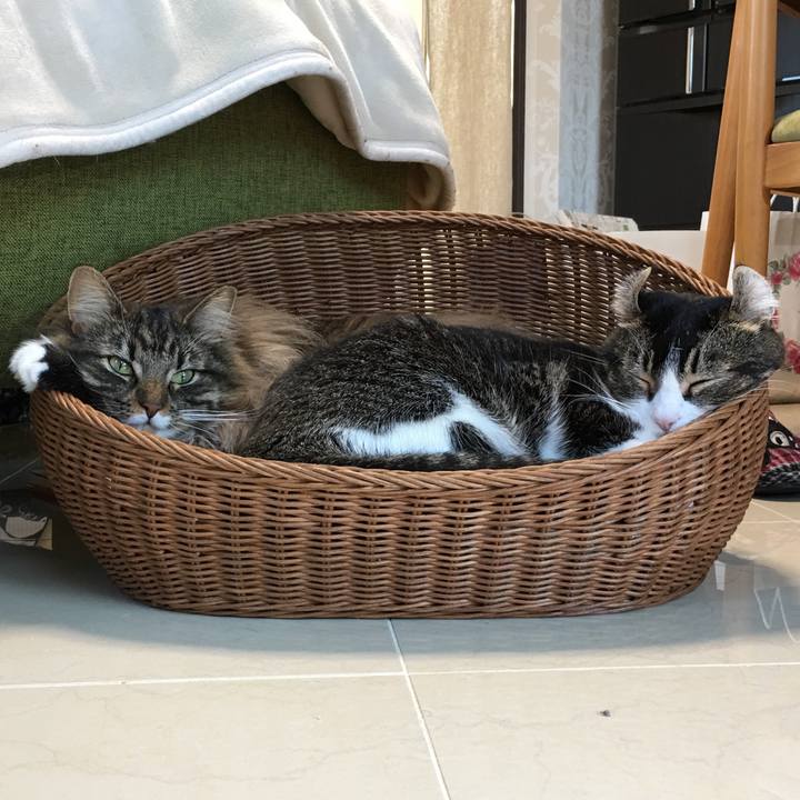 97176be5 e7ec 4033 8972 5bd5ddf2c8be