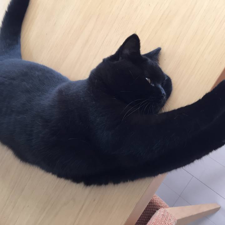 9719ec3e 46d2 4c1c 9608 43a193861d23