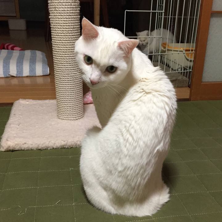 9719fbb6 6b89 434c a932 3663adc25415