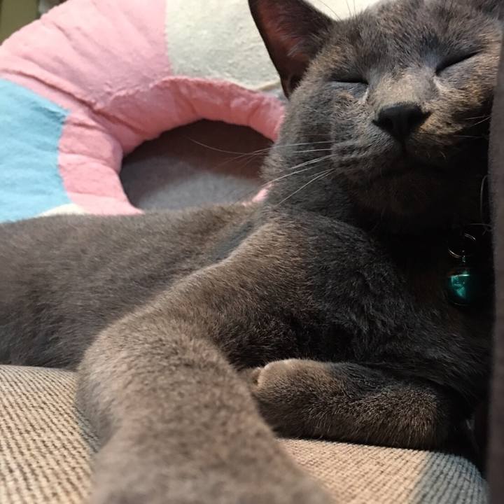 971a97e8 8c21 4039 bd0c f3e176b72e6e