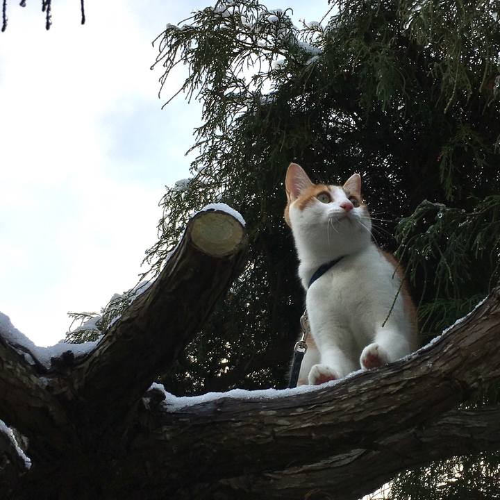 971bb376 58ec 4450 b745 2611548b8daf