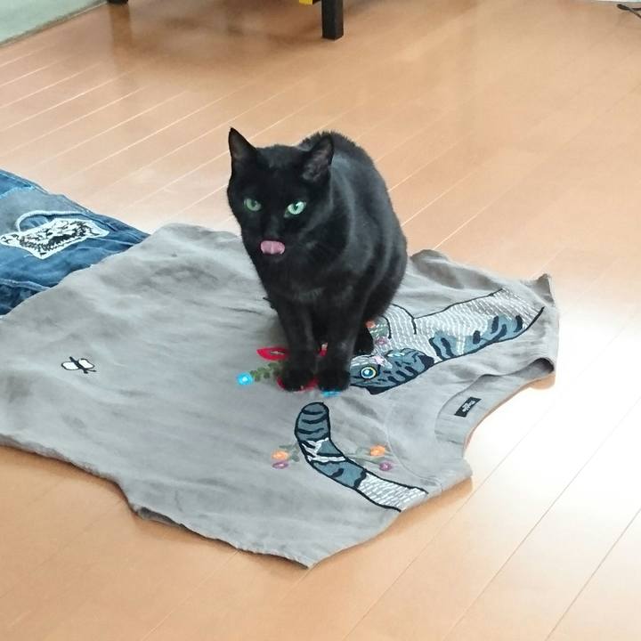 971c591b 58f7 4cdc 80fd 06620f0b9f55