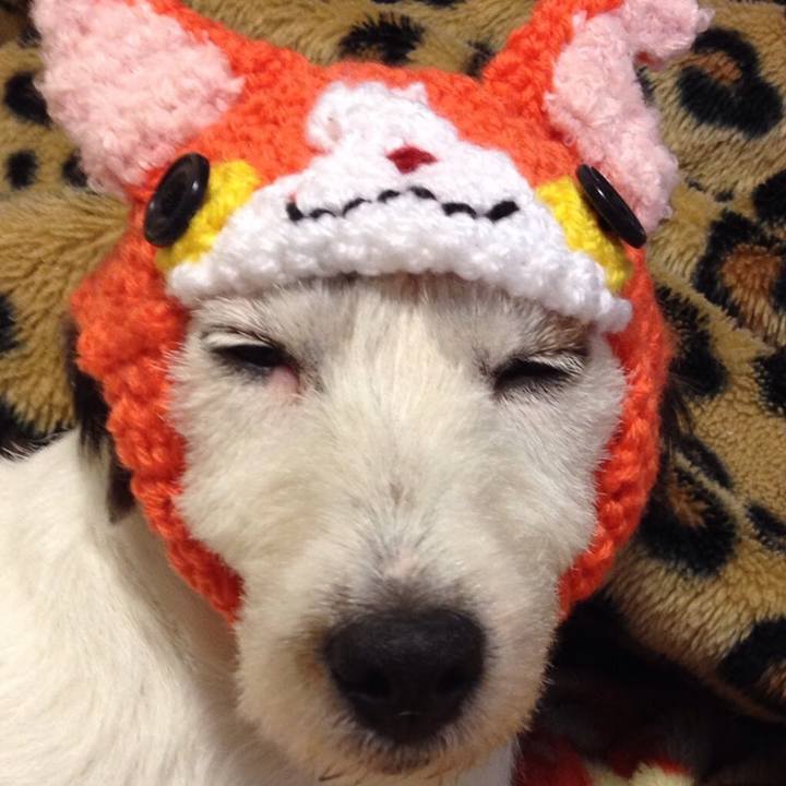 971c9c13 b1de 437f b27c 2c6be6001619