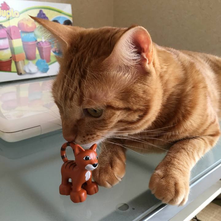 971ca19f 0c2d 49e8 a151 8ac514d6827b