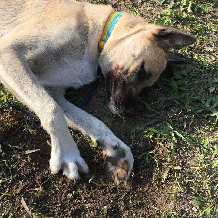 971cedbc 9772 4ff4 8c3f 38970ea253de