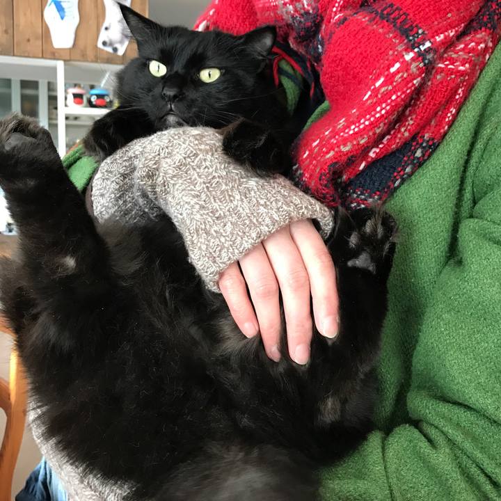 971d1d03 198e 405f bd1f 520f8bfb510c