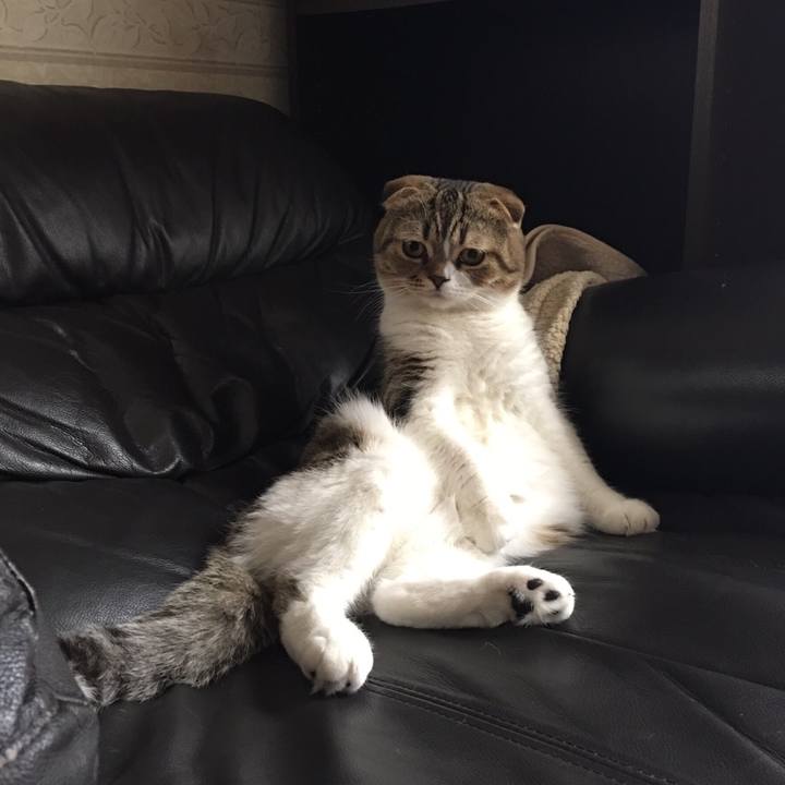 971d234c 1711 4568 9fb0 93057efba045