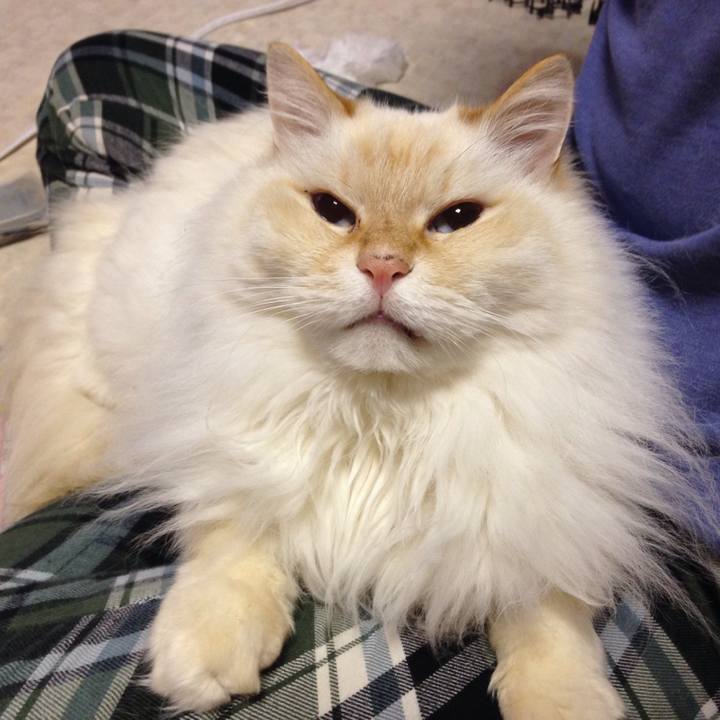 971d86ec 8a7a 4124 aedb 5d51a968ca8a