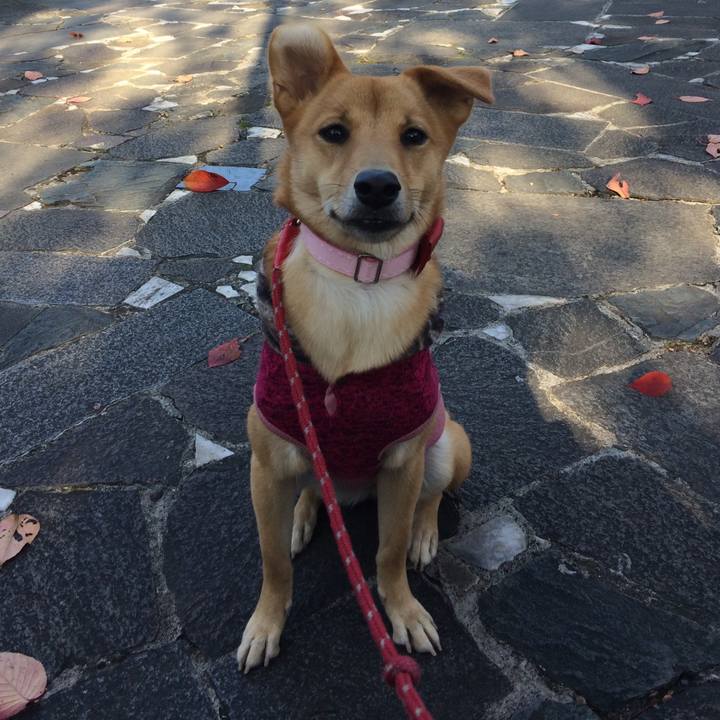 971dce64 af01 4ba8 8cb1 ed12bfa5439c