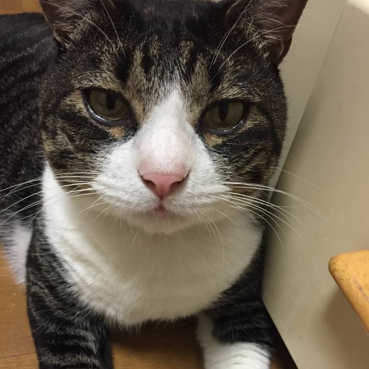 971dd590 8df6 44df 87a4 ae57857950ae