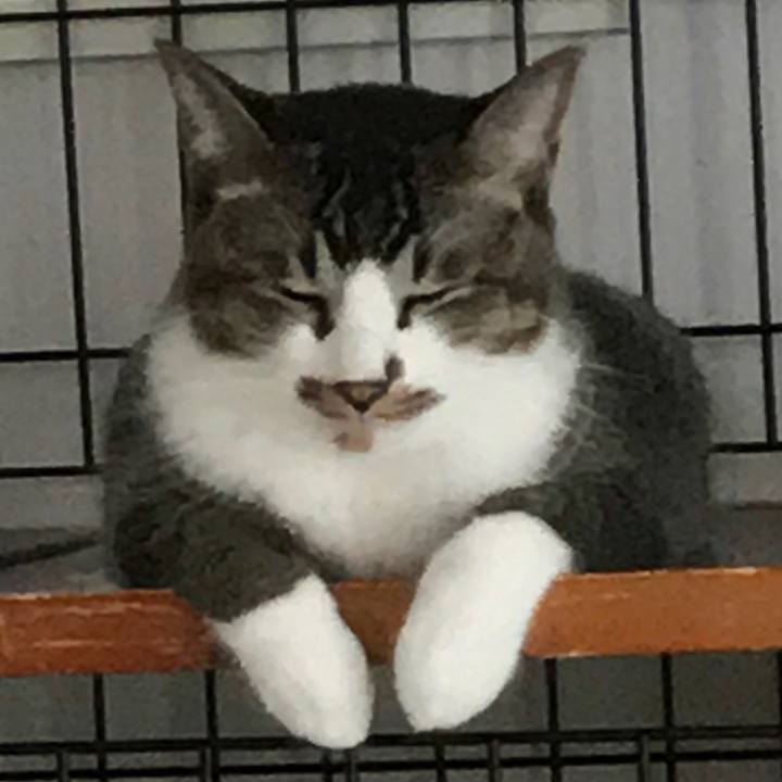 971e7250 ffd4 4c51 a848 fb6fb3cf1e02