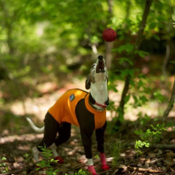 971ea2b5 d827 42c1 8d69 a9f91e905dcd