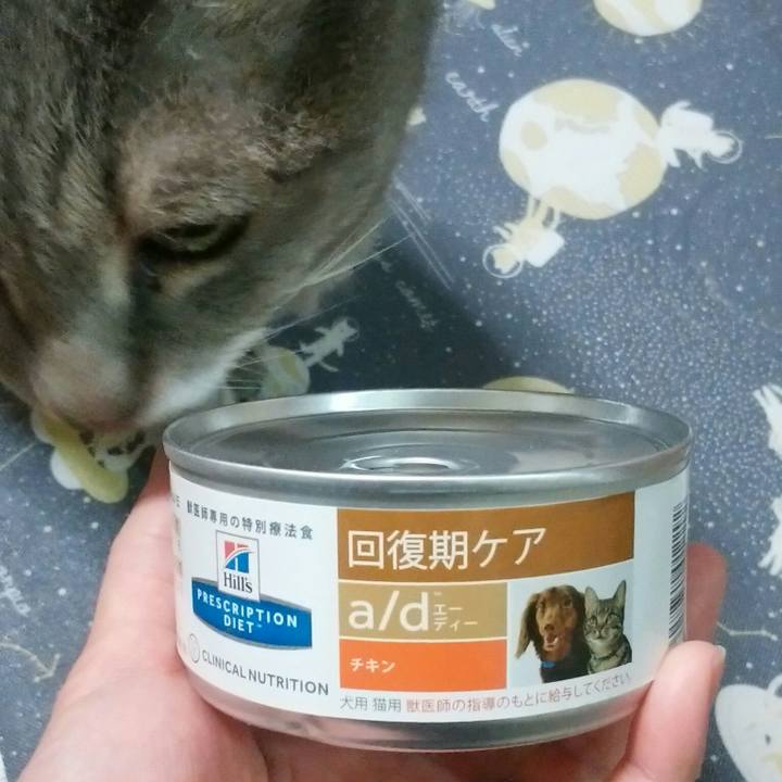 971ed25c c770 4b05 8703 38d4bda0d661