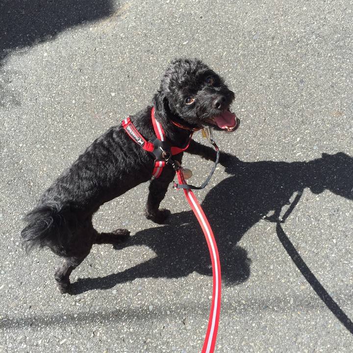 971f38fa 2405 4dc9 b9e5 351b114f22f2