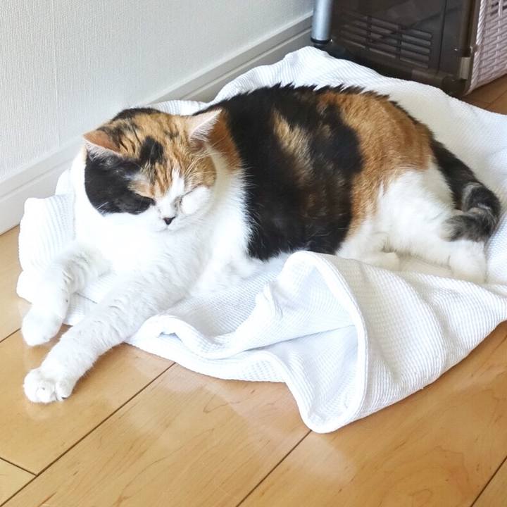 971f64c0 d896 476d 9484 2eaa48b4b2e4