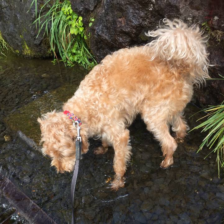 971fb1dc a8b6 4d77 bfaa 14d40bc96b47