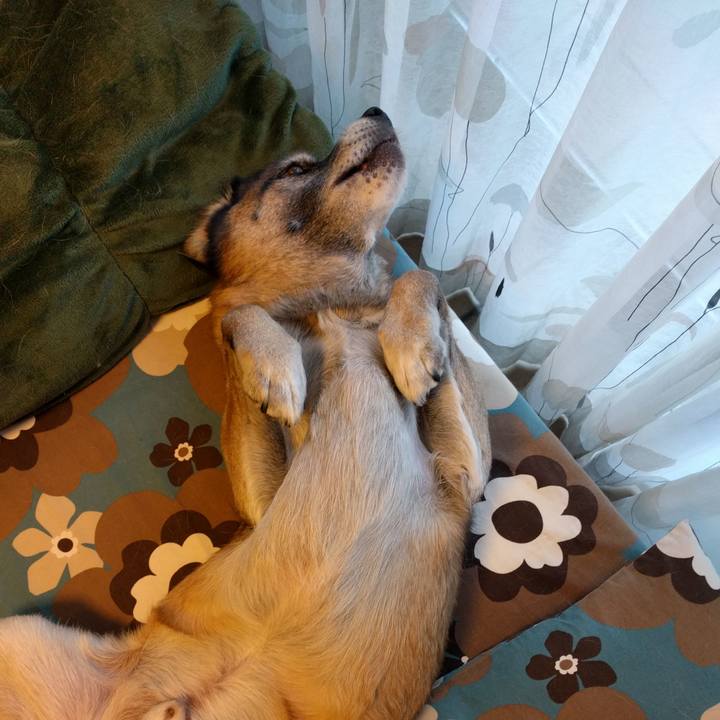 9721121c 923f 45dd 885c 7c127ce7f619