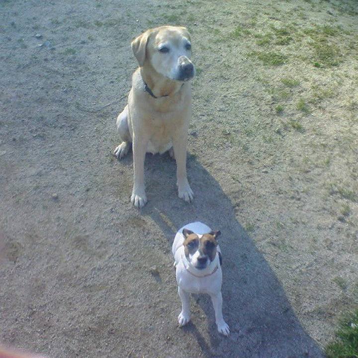 9721d75f f7c3 4ecb af95 c4e22b0cf03e