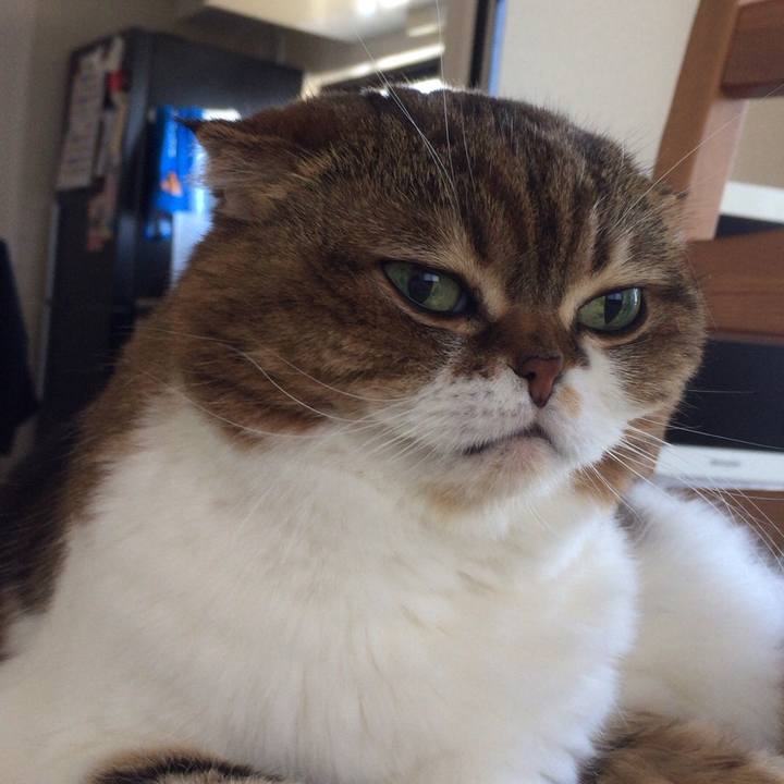 9721eaa9 ada4 42c2 a33d 08f5c0b8e912