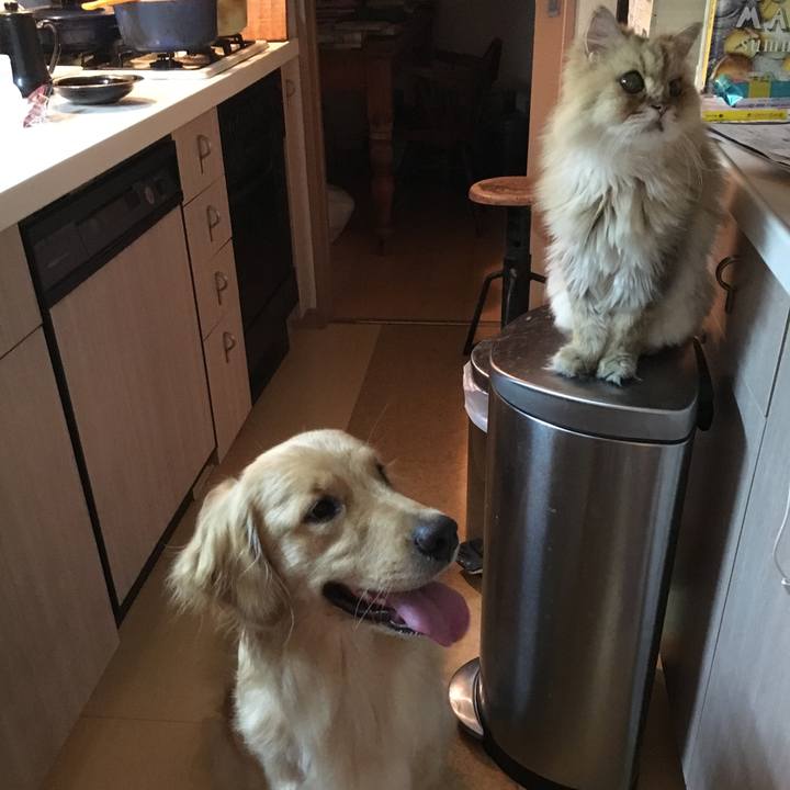 97228101 4344 4c0f 9221 8b188063127e