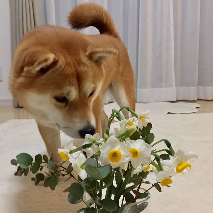 9722c73b 4ede 4d26 8ea8 243e1ec45922