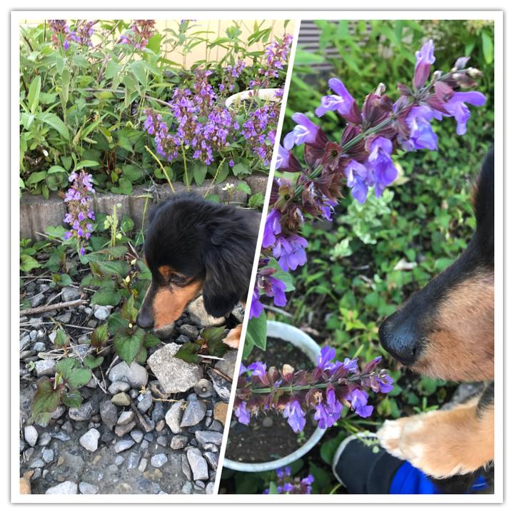 9722cc73 f53a 4369 9289 eece9fdcc786