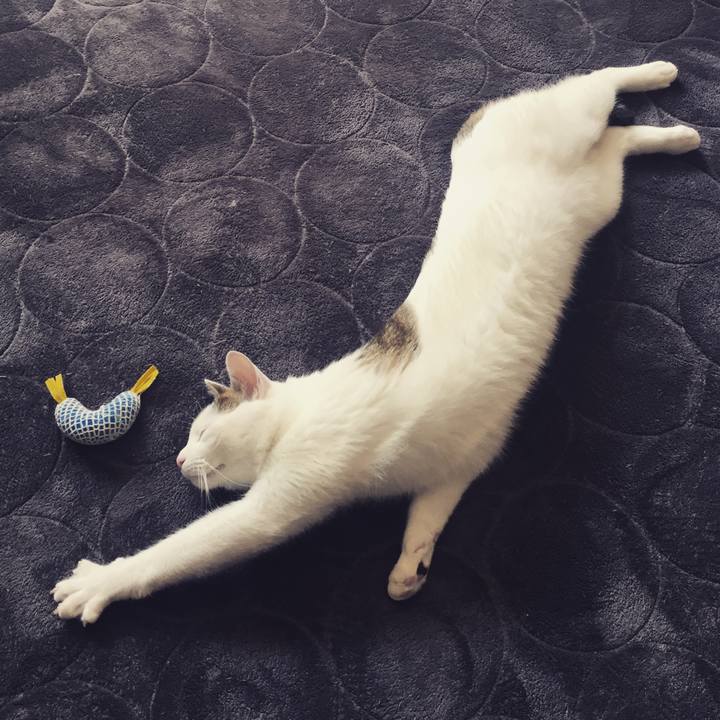 97231680 4cc2 4a38 b581 bd2b60a9571b