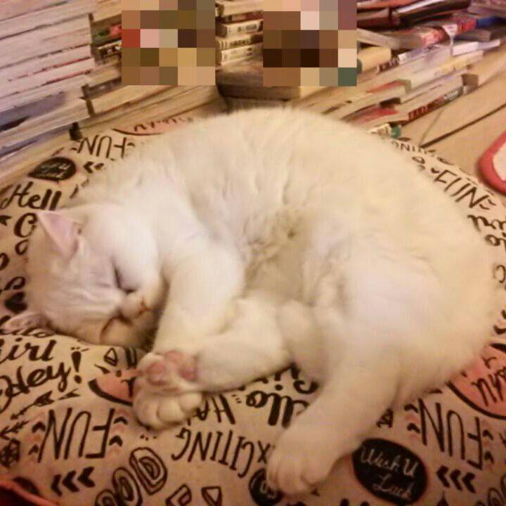 97234338 679d 448e 9db3 536194ed2fc7