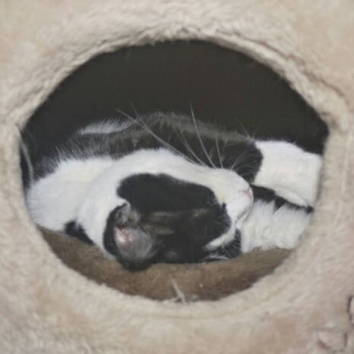 9723d2ab 9bd7 4912 b997 fe3836aa357b