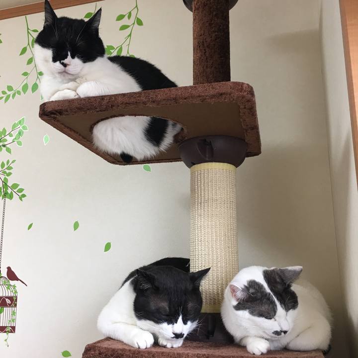 9723dff6 b408 4409 a4f5 6317c5936a00