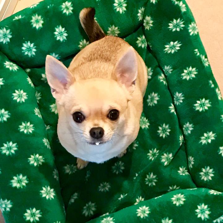 97240a1e 1532 4bc1 8830 6bbaf4861058