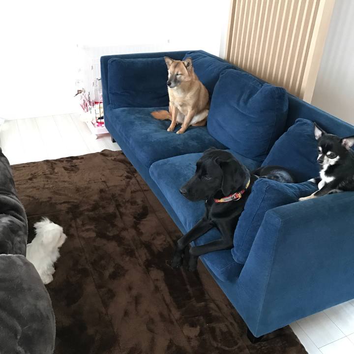 9724bbb1 5c73 4b94 8886 3d0be0618288