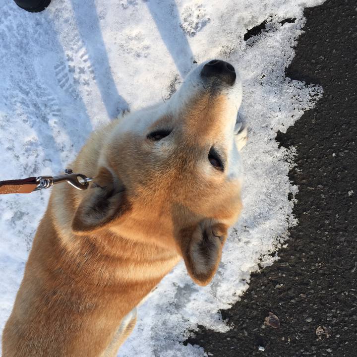 97251157 bb24 4799 aecb 3dd44d9da367