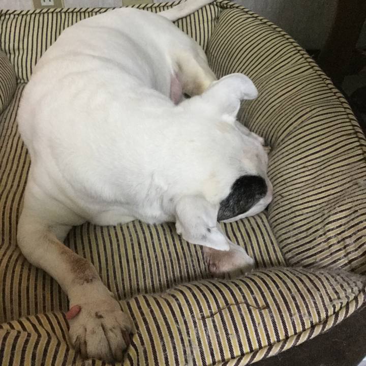 97257da5 1a56 4316 96e2 3a3b631ff76c