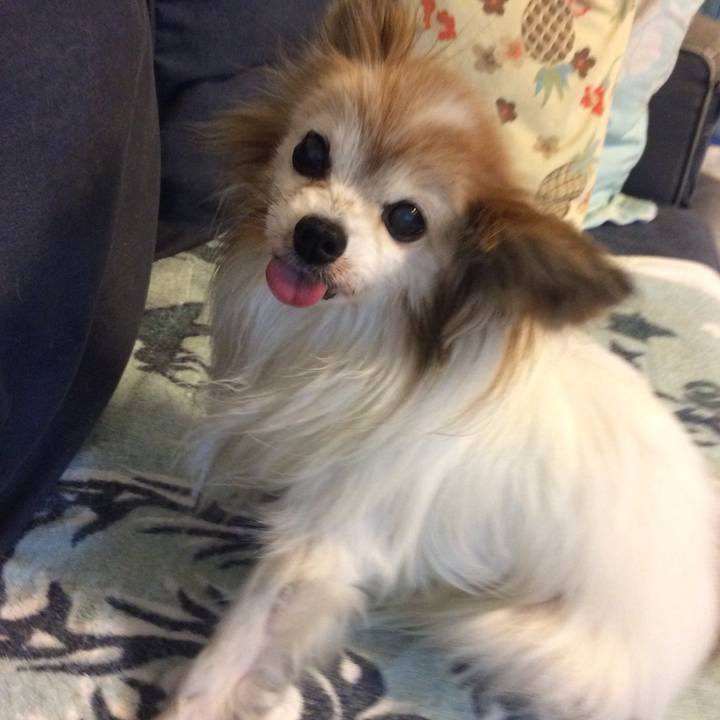 97257ea8 adfe 48b0 901c 7c861df6474c