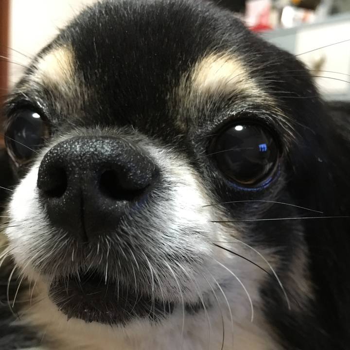 97262a40 81f8 4395 b6e8 5ad4c5228d95