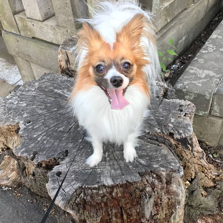 9726f3bb 65ce 4286 8ccc 2b8add2e84fd