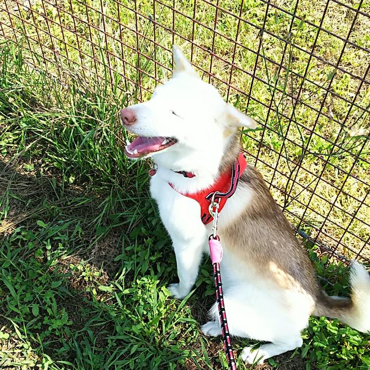 9726f3fe b1cc 4db5 8502 f9834147db49