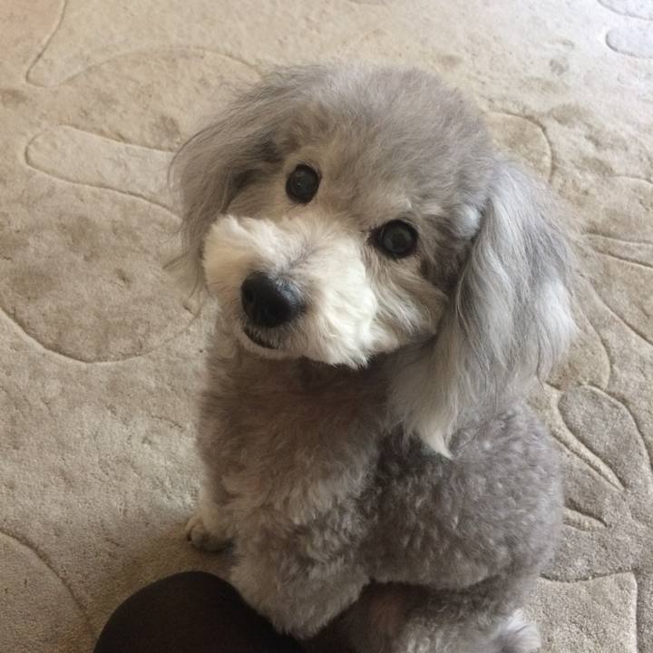 97276be9 889c 4b08 9701 b4dd7c961f59