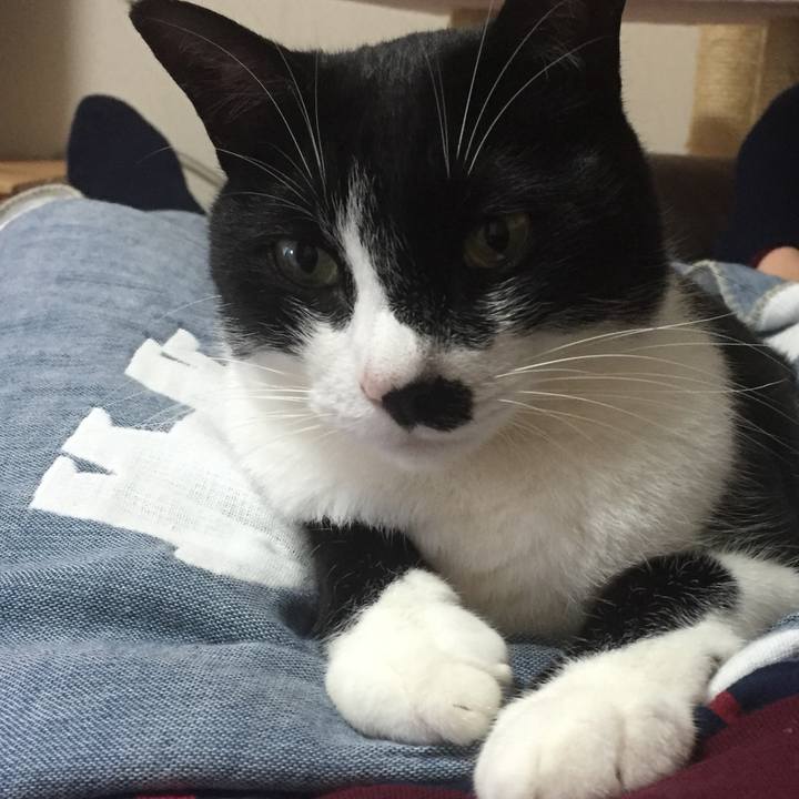 9727ba8e dce8 4ecb b97a 4ba95c54011d