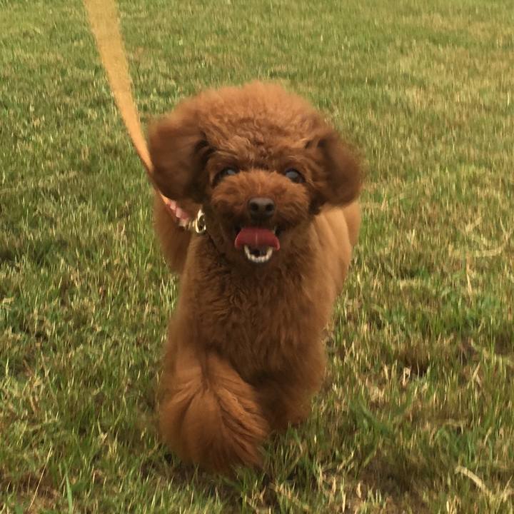 97289503 0b1d 45c8 bac4 796b1105c247