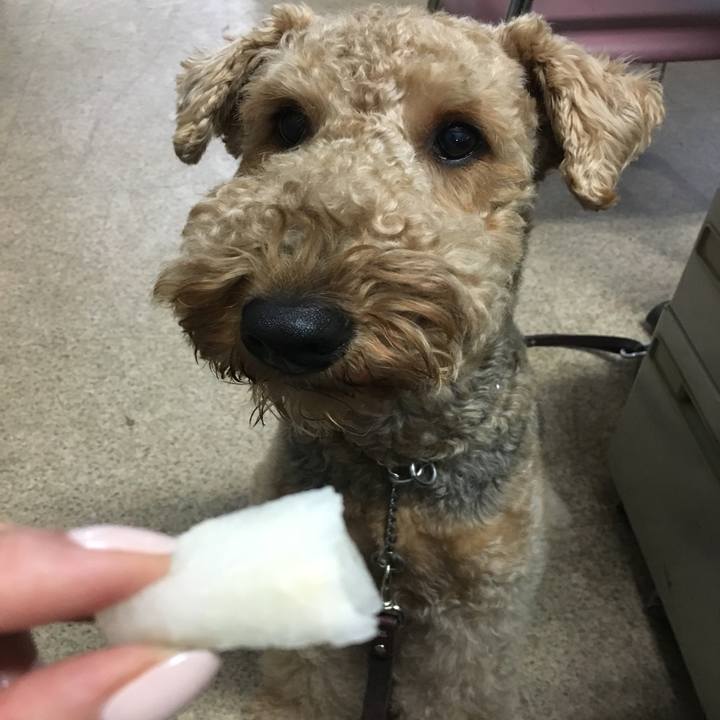 97290ca1 02da 4a24 88d2 f29d085bbce6