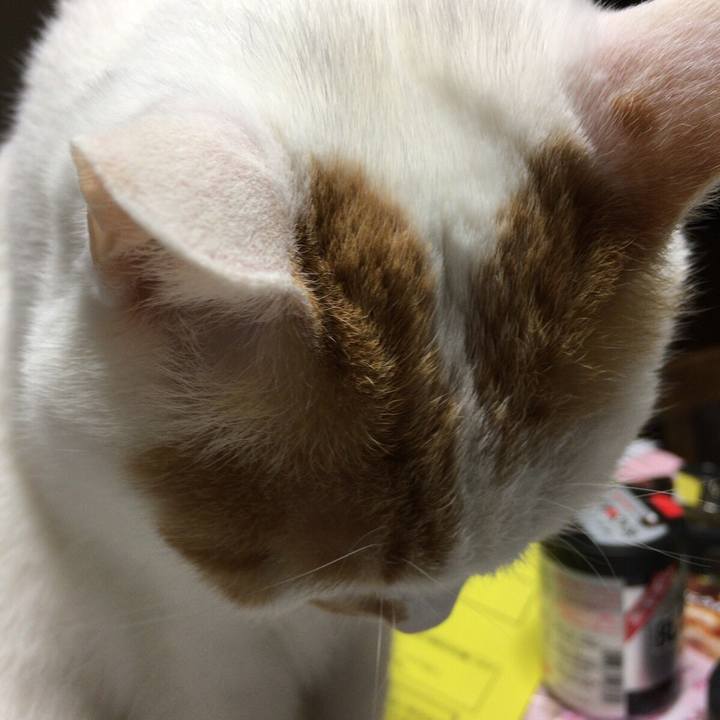 972939ab 4caa 47b4 831d 3a1596809ab4