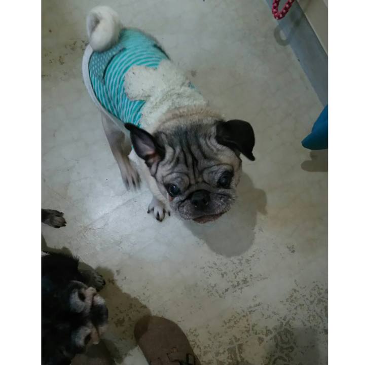 9729bd9a 22b4 4216 81d5 f978cb35ec9d